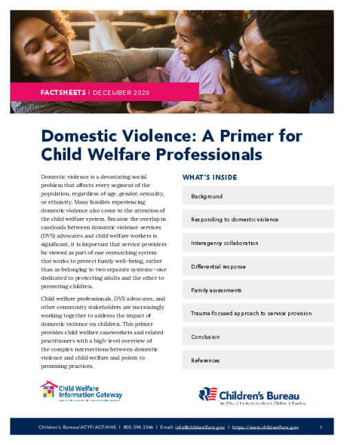 Domestic Violence: A Primer for Child Welfare Professionals