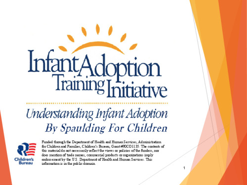 understanding_infant_adoption_powerpoint_slides.pdf